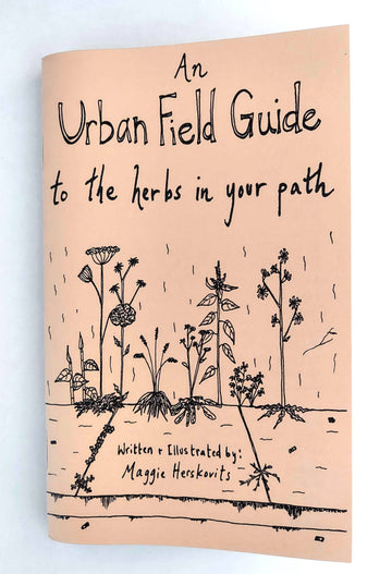 Urban Field Guide to the Herbs in Your Path (paperback)