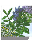 Gallery Grand - Herb Mixture