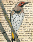Gallery Grand - Birds Talk! Series - Northern Flicker