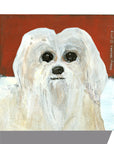 Gallery Grand - Dog Face - Maltese