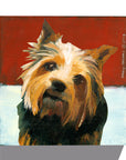 Gallery Grand - Dog Face - Norwich Terrier