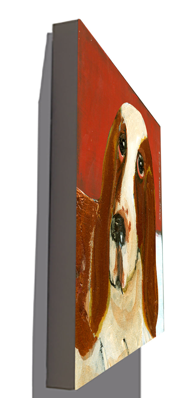 Gallery Grand - Dog Face - Basset Hound