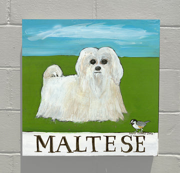 Gallery Grand - Doggie - Maltese