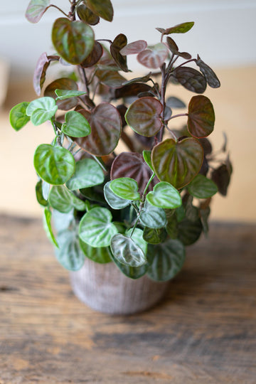 Artificial Begonia Plant with Cement Pot