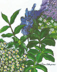NANCY THOMAS PILLOWS - Herbs
