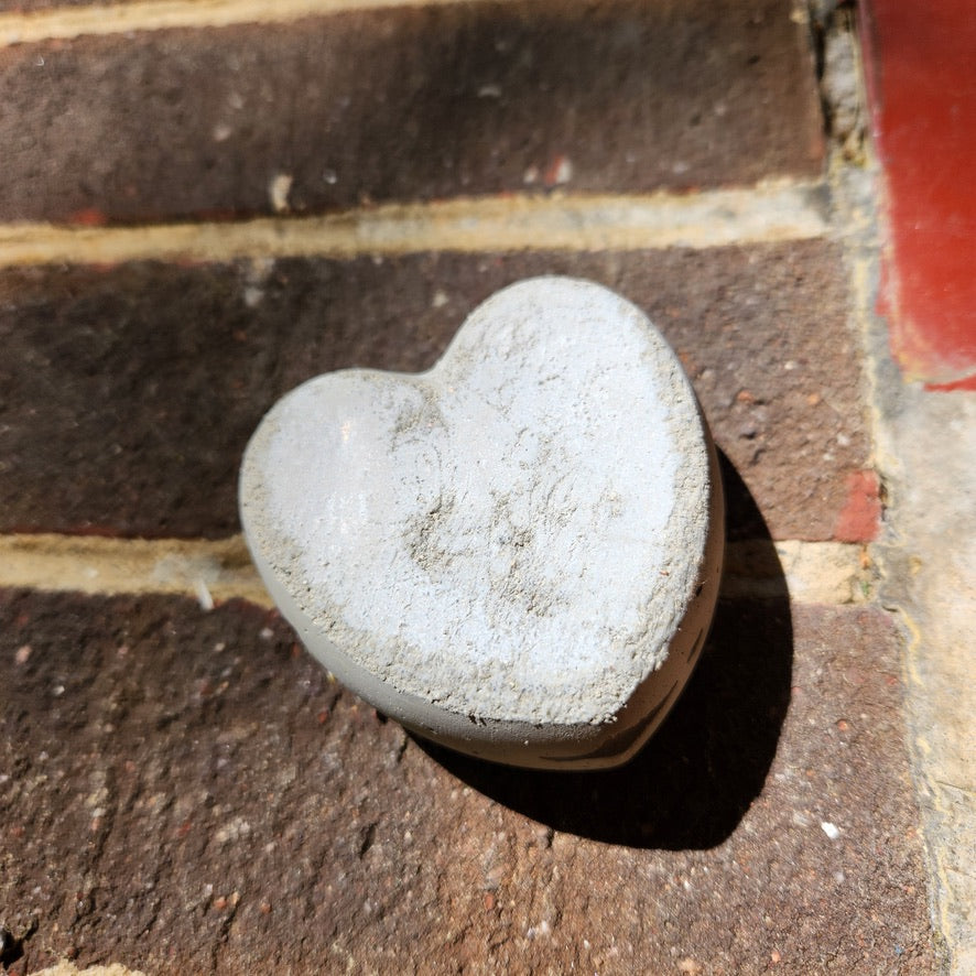 Concrete Love Heart with Petrified White Strawflower