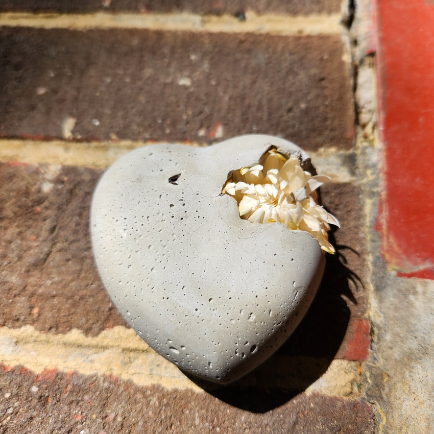 Concrete Love Heart with Petrified White Strawflower