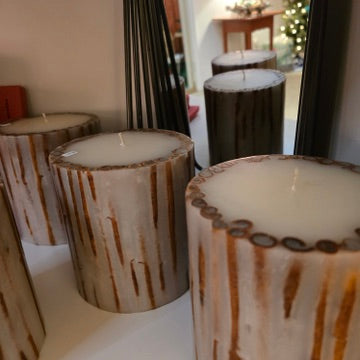 Cinnamon Stick Botanical Candle