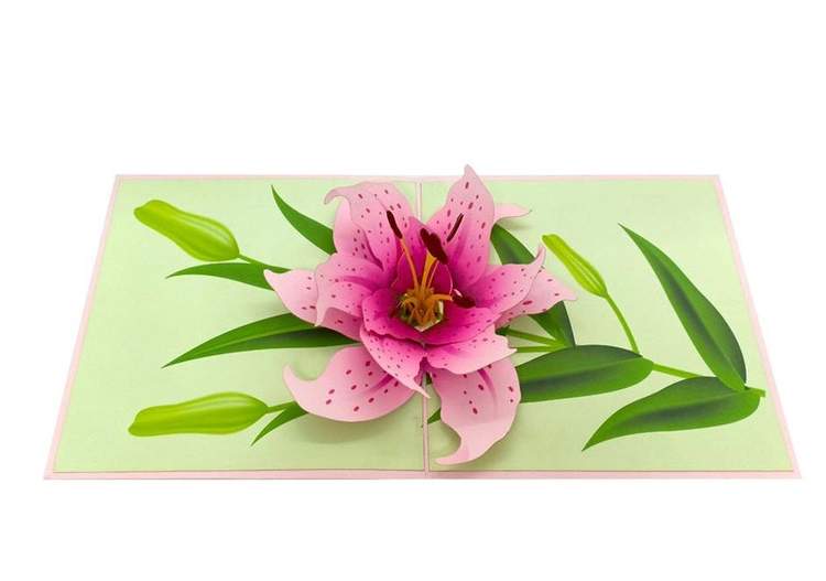 Pop Up Greeting Card - Lily Bloom