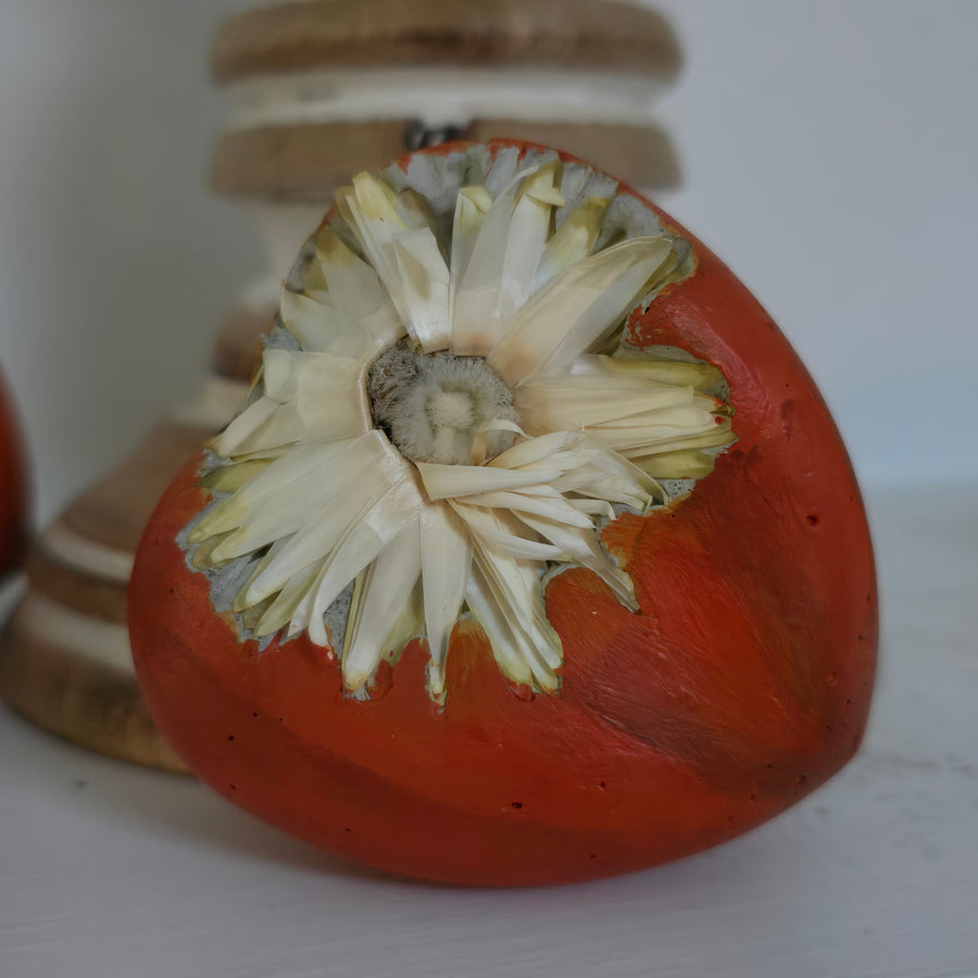 Concrete Love Heart with Petrified White Strawflower