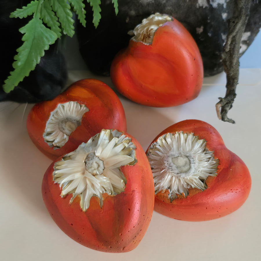 Concrete Love Heart with Petrified White Strawflower