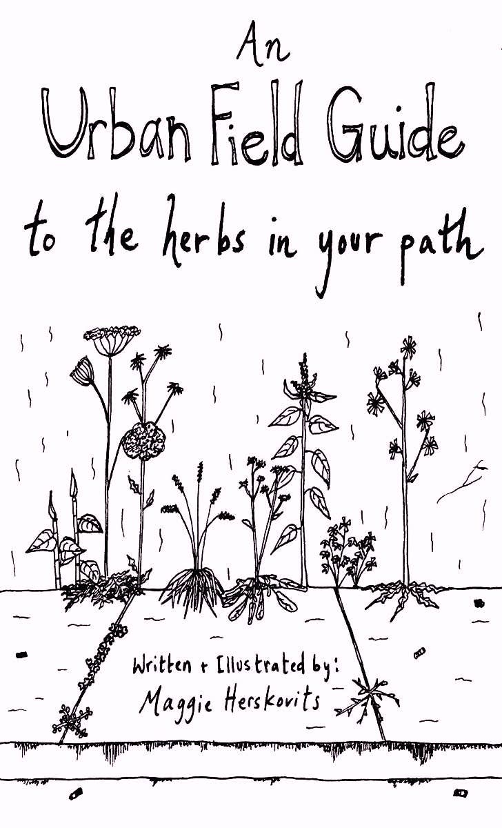 Urban Field Guide to the Herbs in Your Path (paperback)