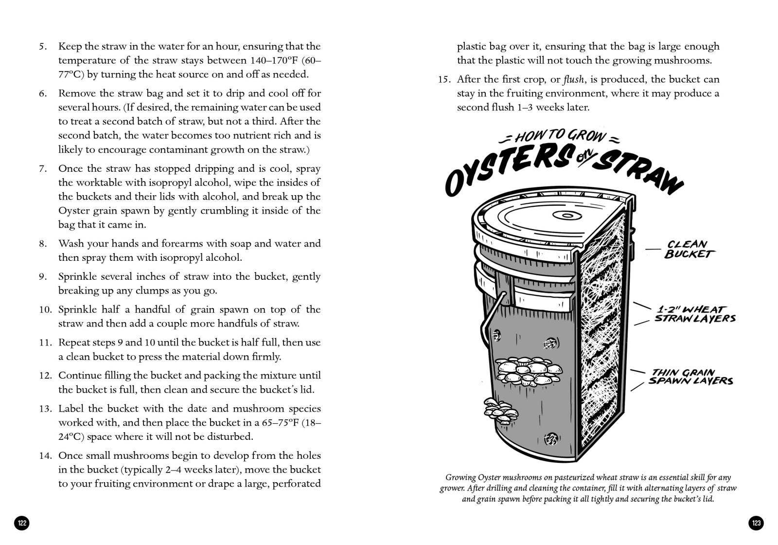 Mycocultural Revolution: Transforming Our World with Fungi (hardcover)