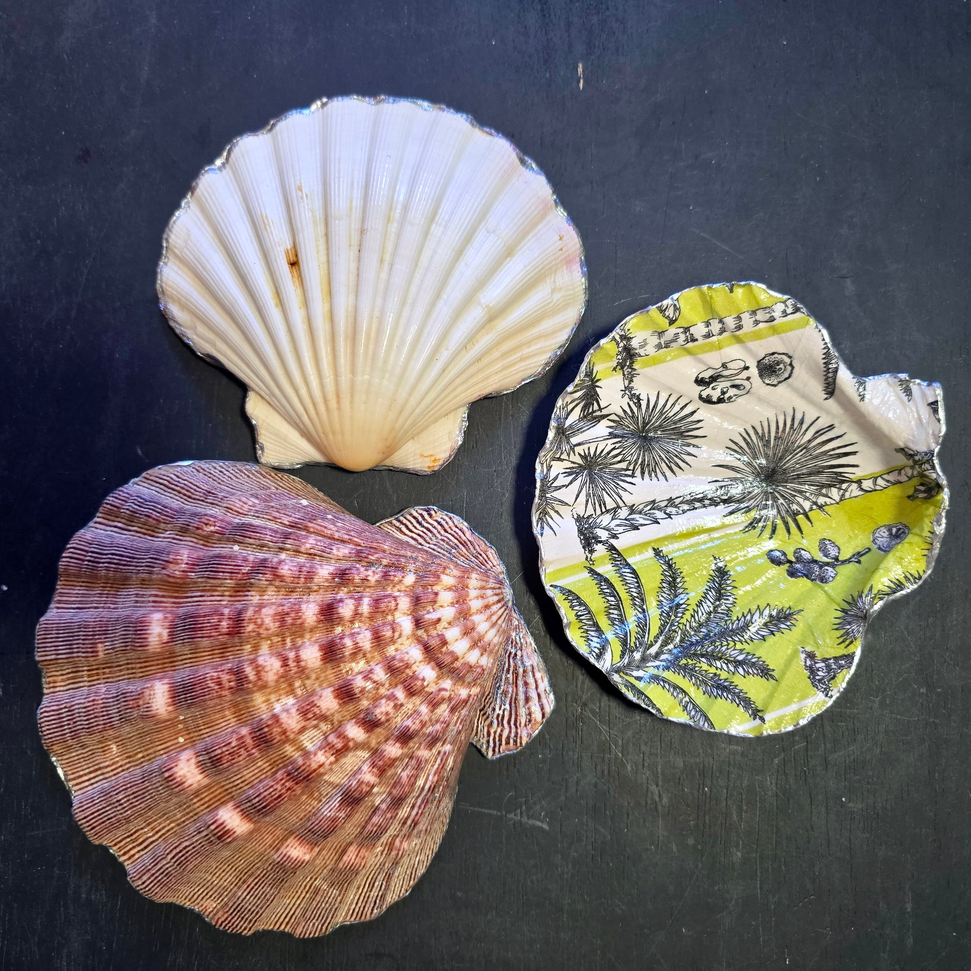 Shell Trinket Dish "Persian Afternoon"