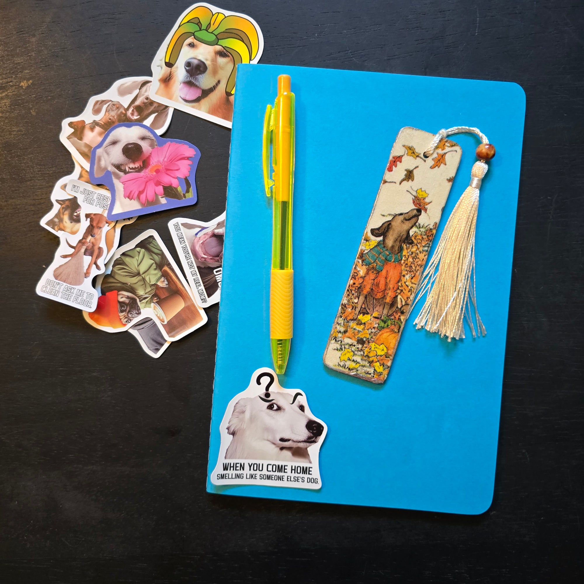 Laura Thomas Dog Tales