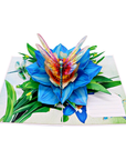 3D Pop-up Card - Dragonfly (First Class Forever stamp included)