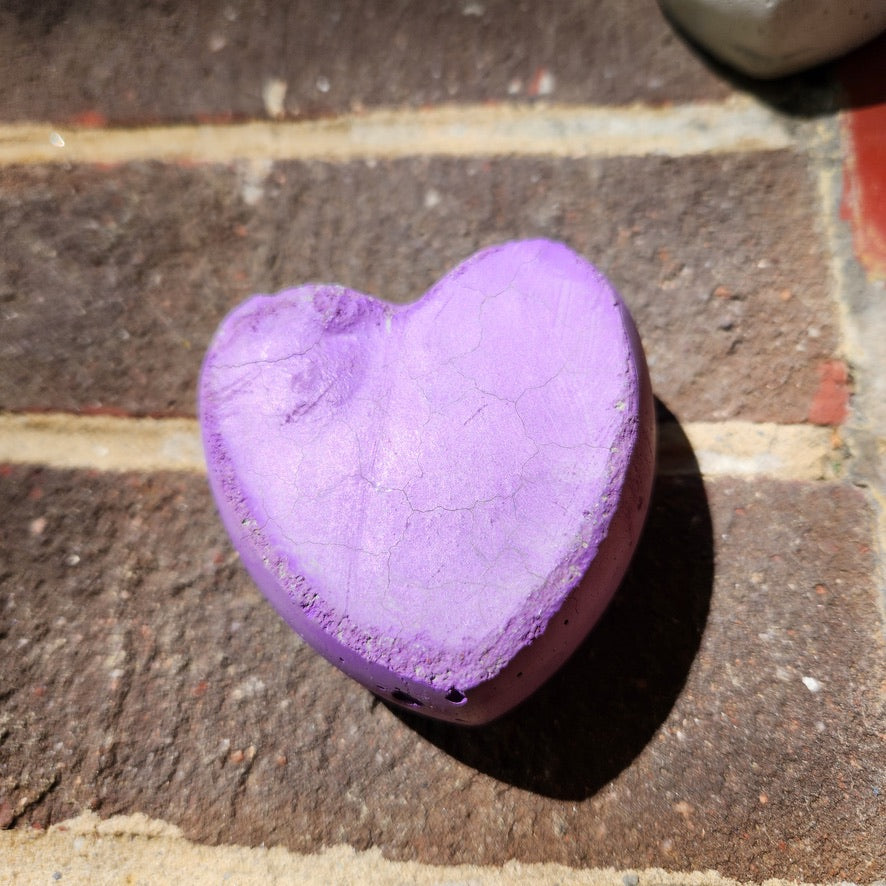 Concrete Love Heart with Petrified White Strawflower