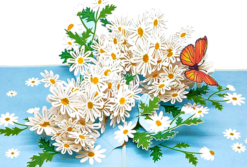 3D Pop-up Card - Daisies Flower (First Class Forever stamp included)