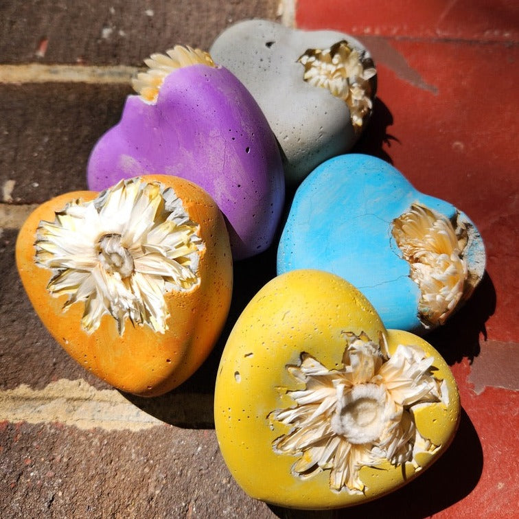Concrete Love Heart with Petrified White Strawflower