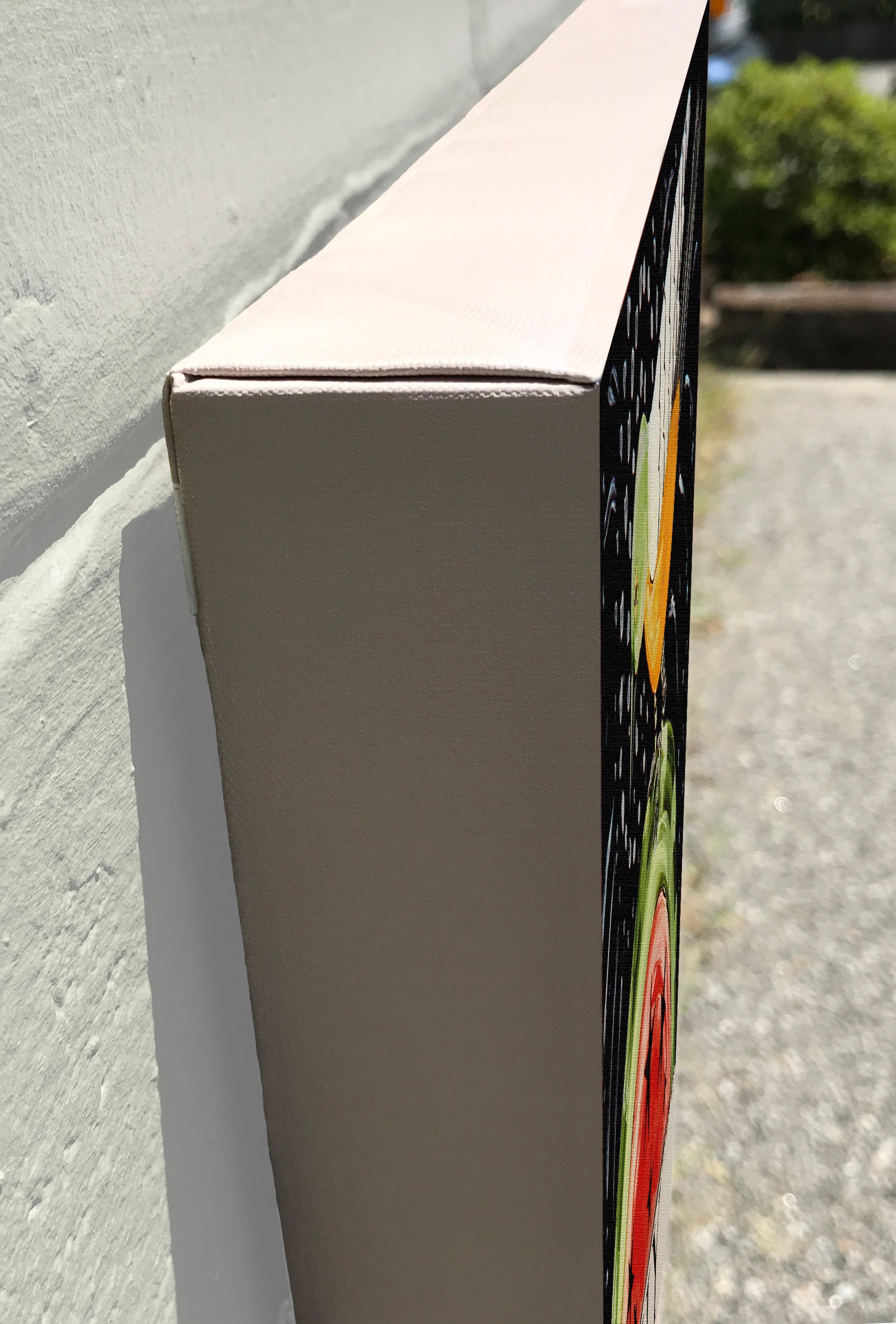 GALLERY GRAND - Watermelon Bird