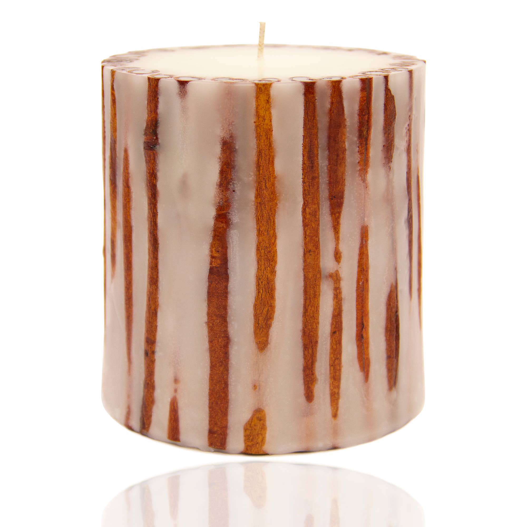 Cinnamon Stick Botanical Candle