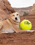 Giant Tennis Ball