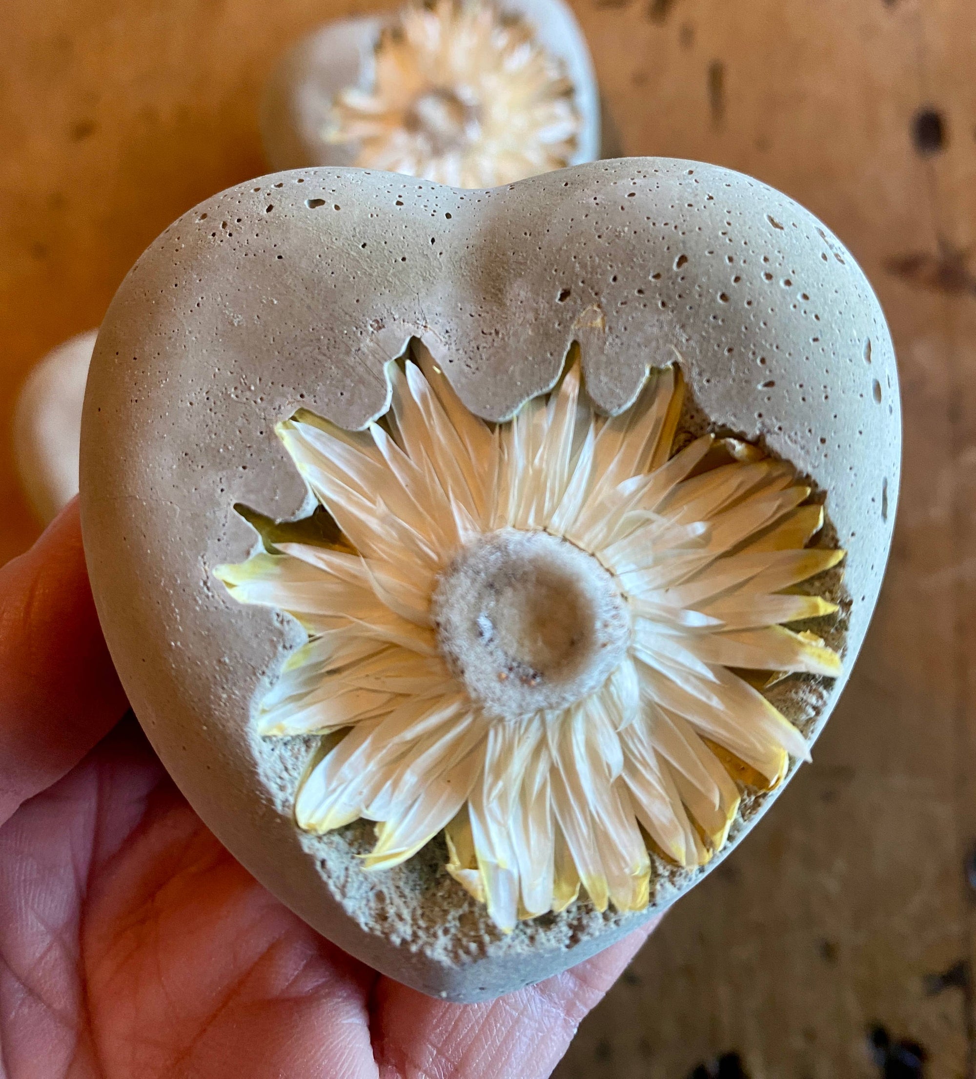 Concrete Love Heart with Petrified White Strawflower