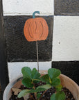 Pumpkin Plant Stake