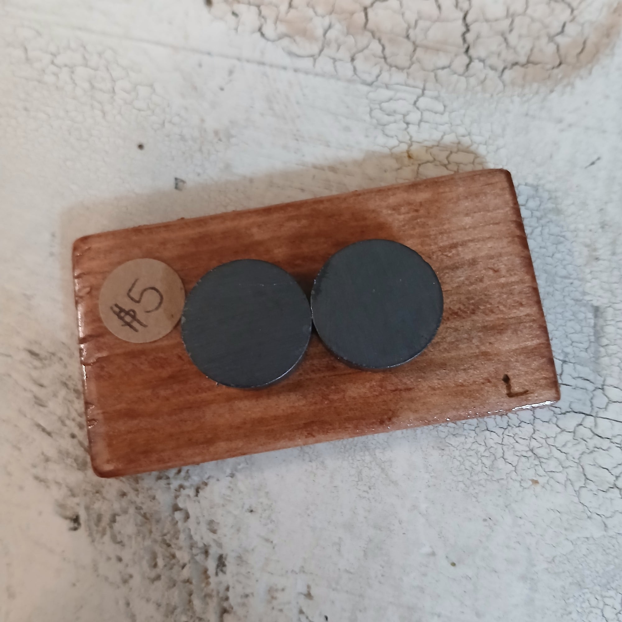 Electrocuted Magnets