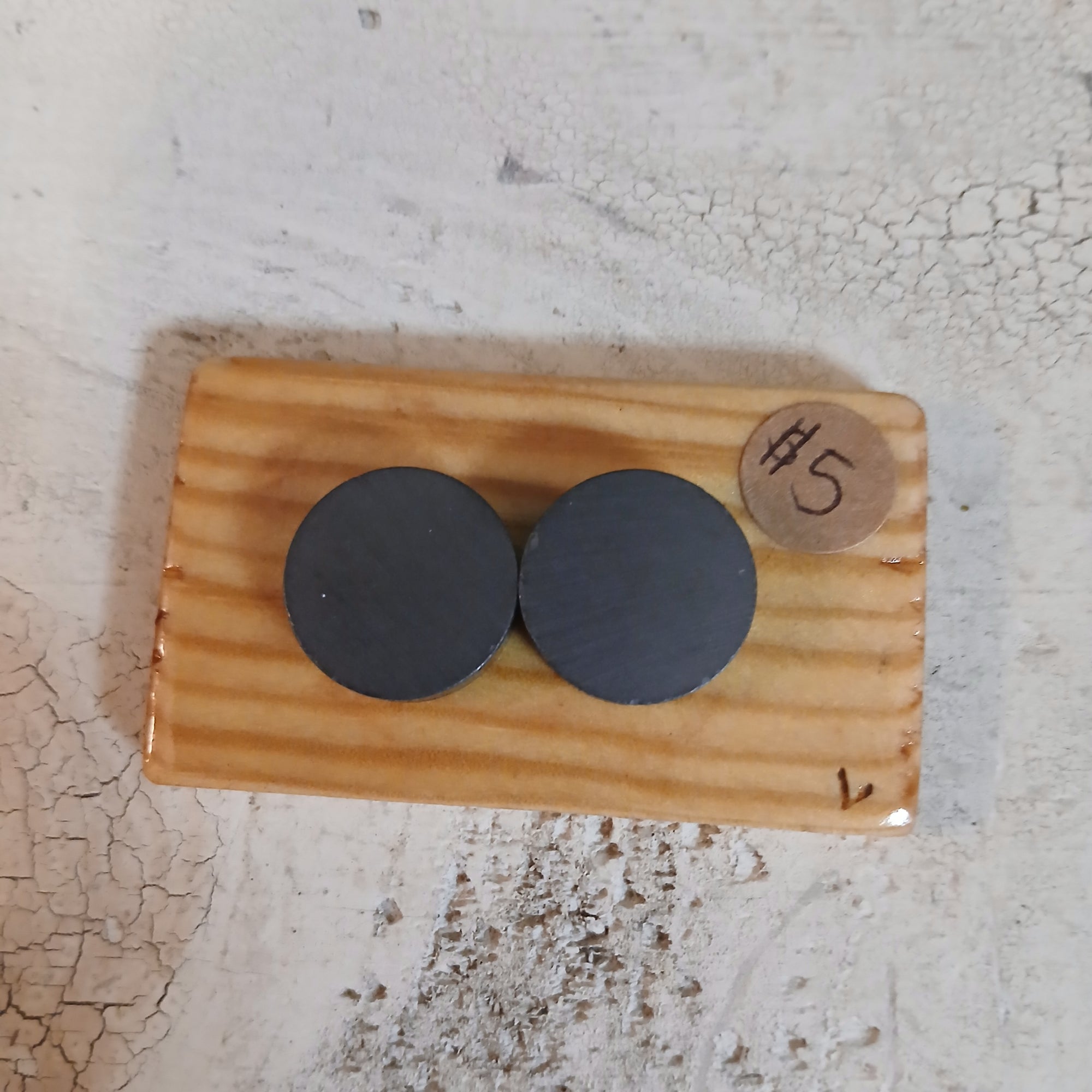 Electrocuted Magnets
