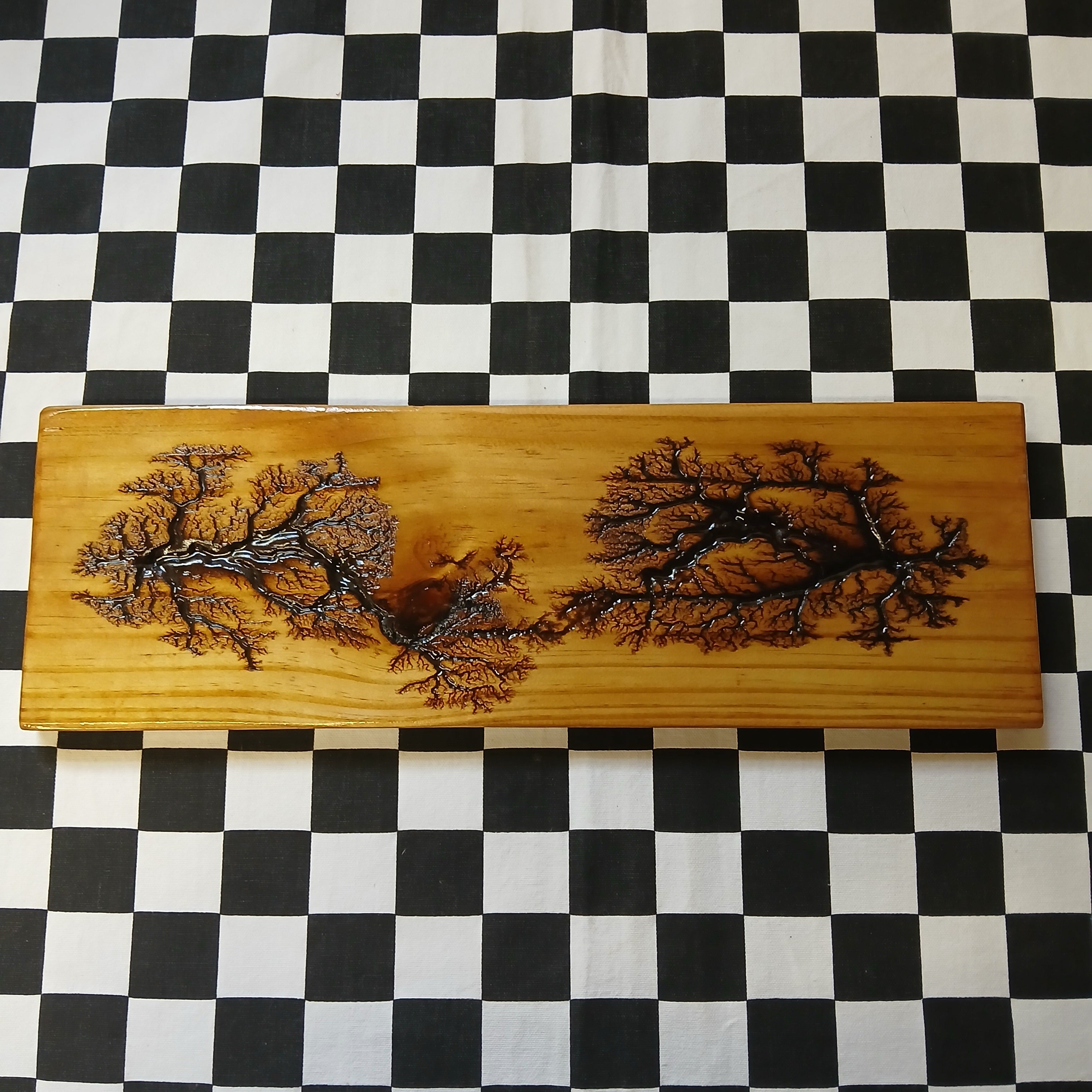 Electrocuted Wood Wall Decor – Nancy Thomas Gallery