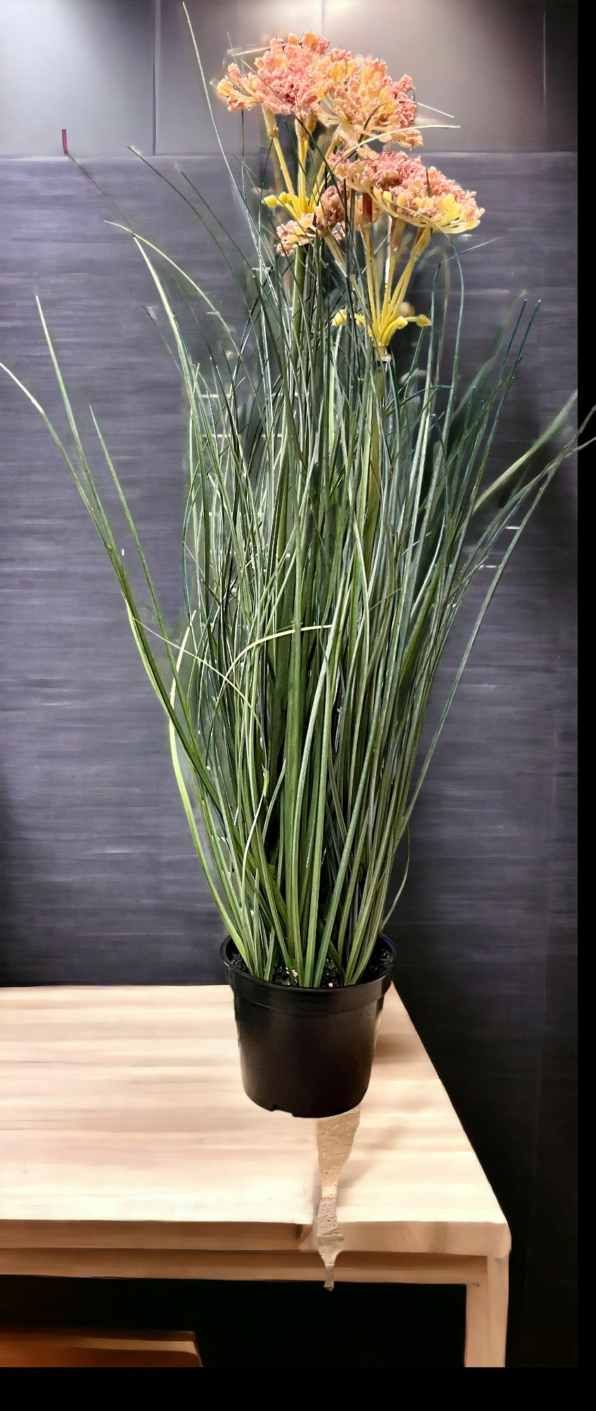 ARTIFICIAL YORKTOWN ONION GRASS WITH TWO FLOWERS (POTTED)