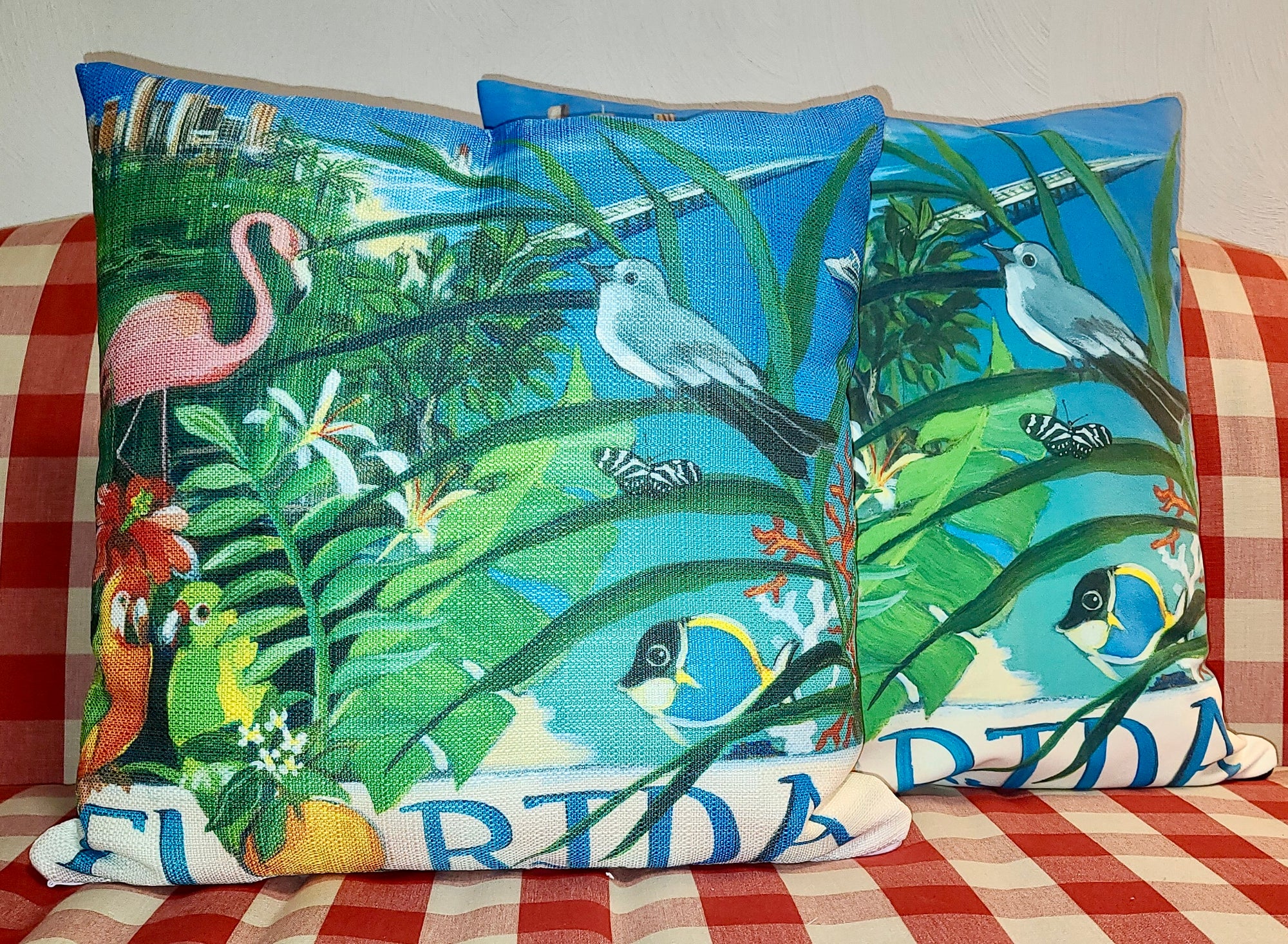 NANCY THOMAS PILLOWS - States - Florida