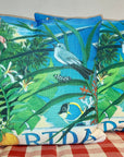 NANCY THOMAS PILLOWS - States - Florida
