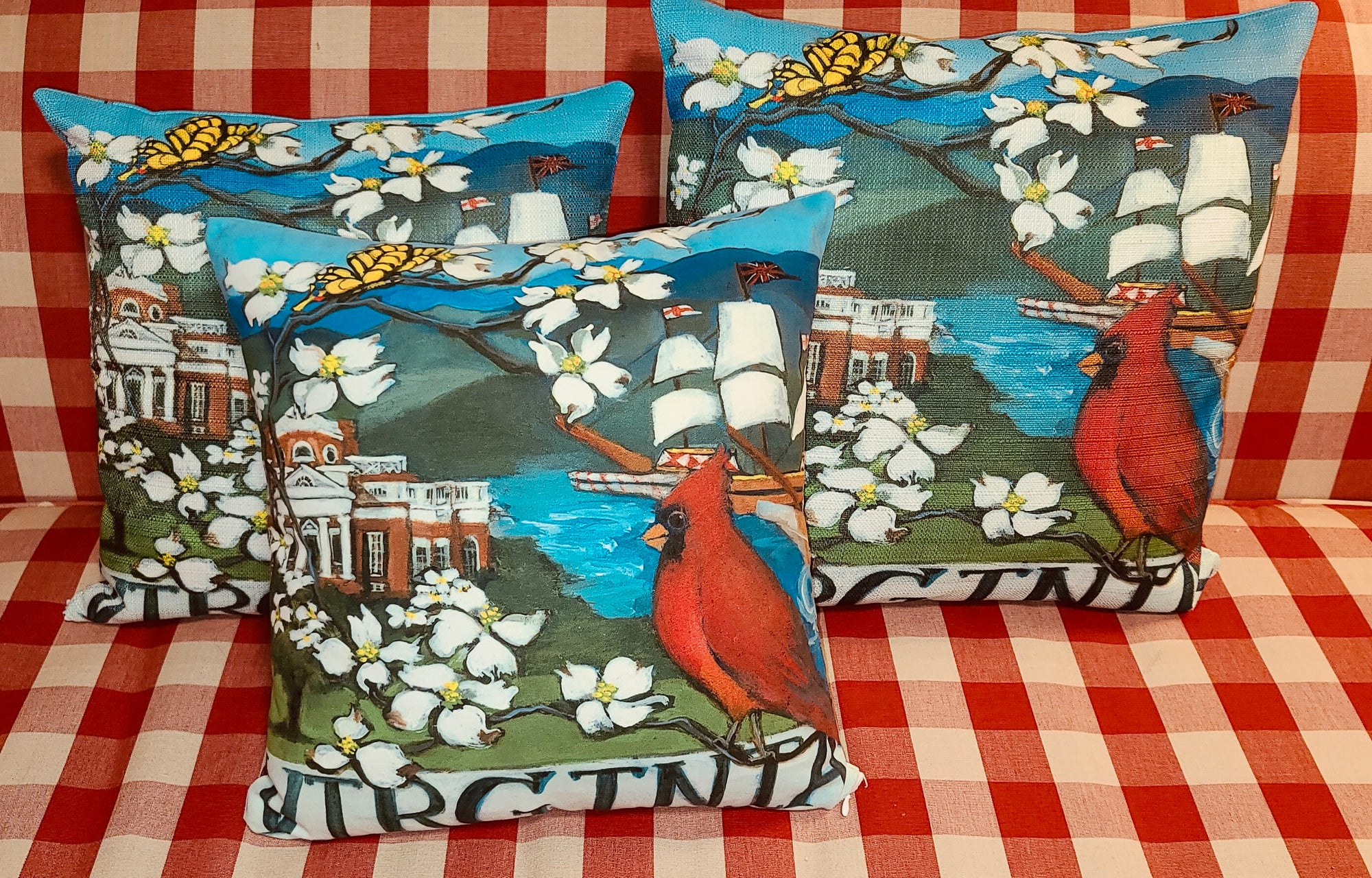 NANCY THOMAS PILLOWS - States - California