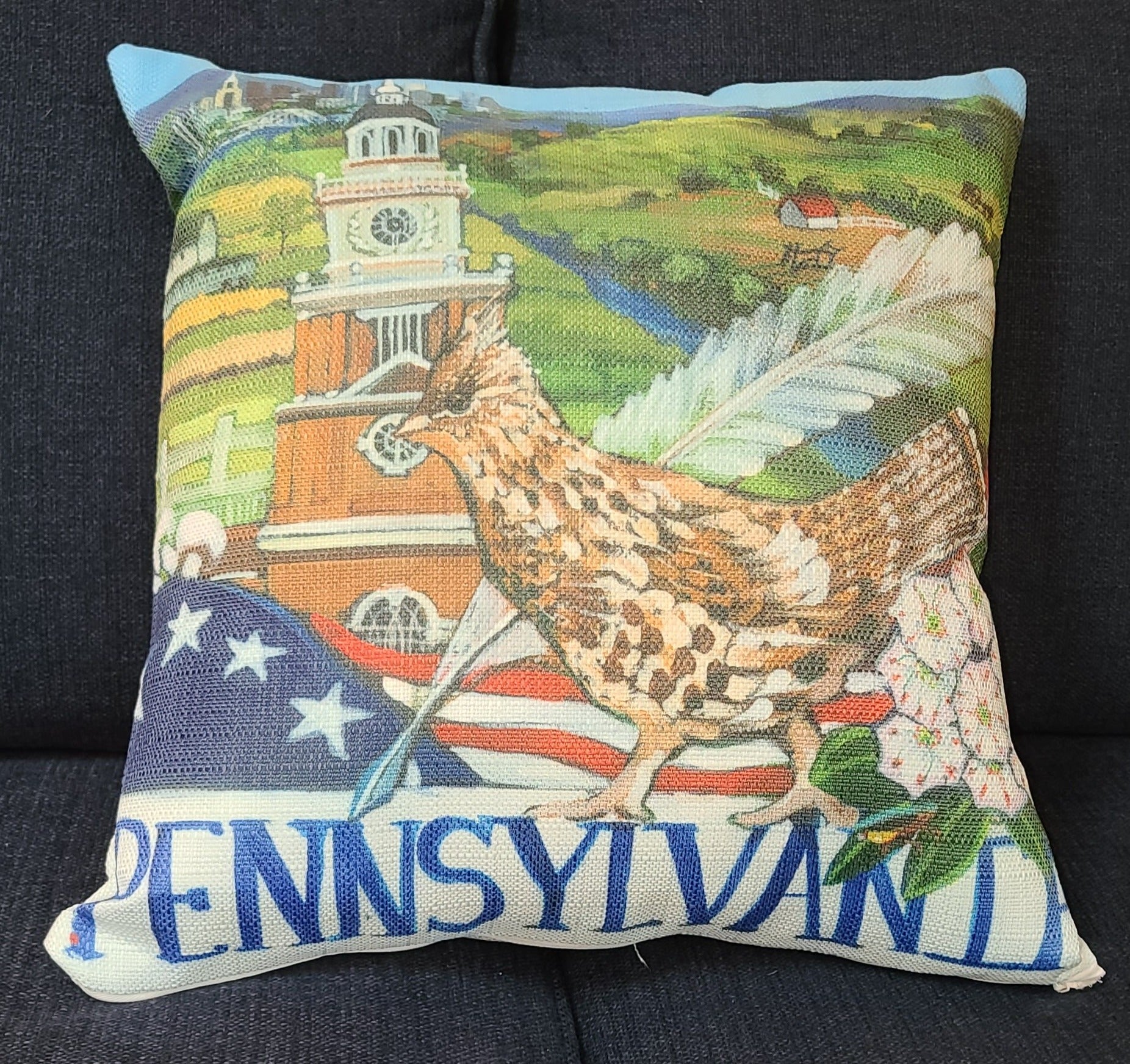 NANCY THOMAS PILLOWS - States - Pennsylvania