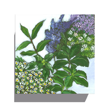 Available Now - Herbs Mixture