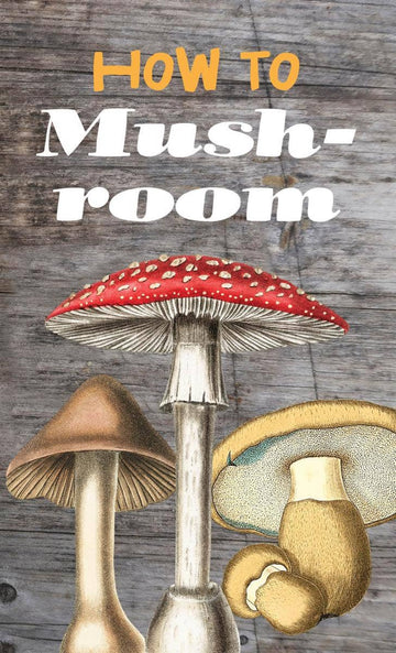 How to Mushroom (paperback)