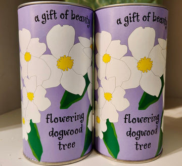 Flowering Dogwood | Seed Grow Kit