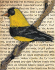 Gallery Grand - Birds Talk! Series - Goldfinch