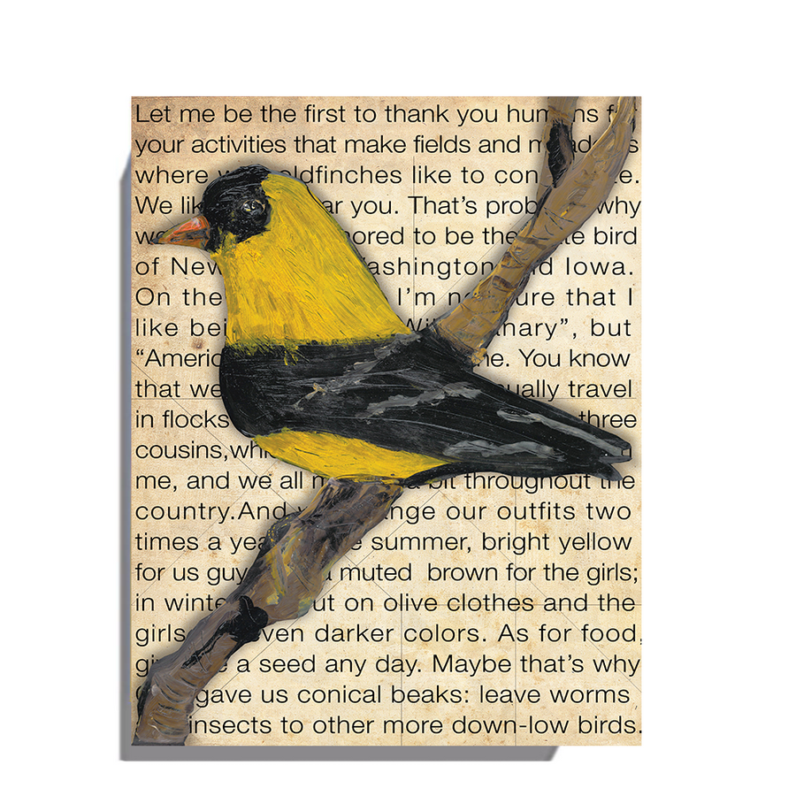 Gallery Grand - Birds Talk! Series - Goldfinch