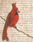 Gallery Grand - Birds Talk! Series - Cardinal