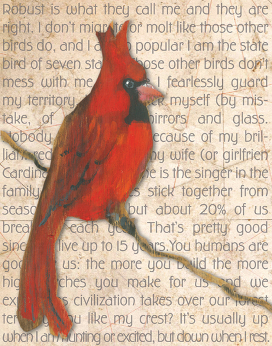 Gallery Grand - Birds Talk! Series - Cardinal
