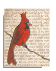 Gallery Grand - Birds Talk! Series - Cardinal