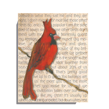 Gallery Grand - Birds Talk! Series - Cardinal