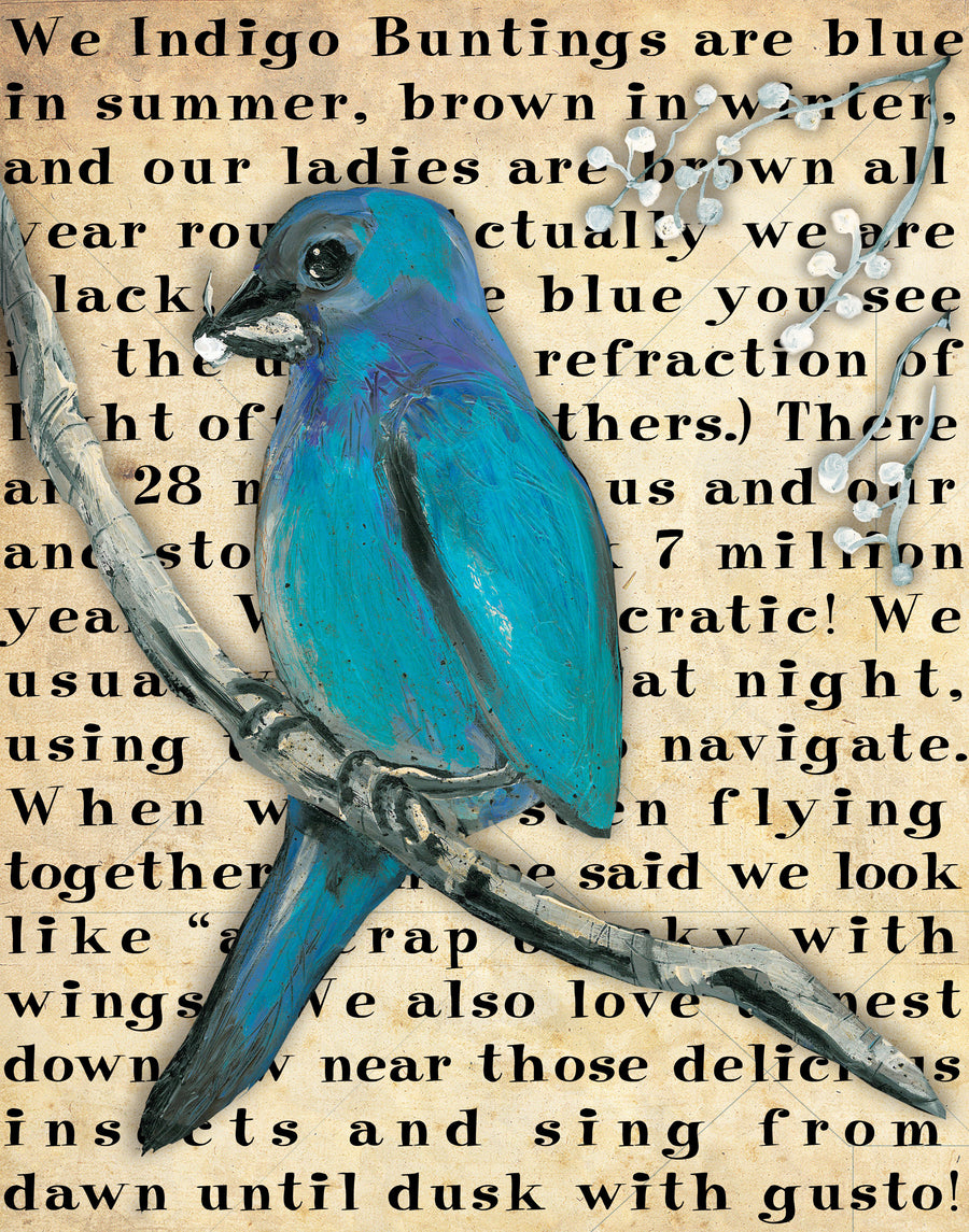 Gallery Grand - Birds Talk! Series - Indigo Bunting