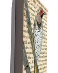 Gallery Grand - Birds Talk! Series - Northern Flicker