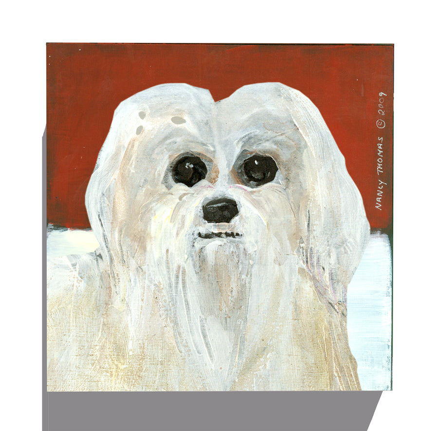 Gallery Grand - Dog Face - Maltese