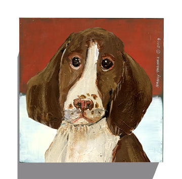 Gallery Grand - Dog Face - Springer Spaniel