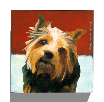 Gallery Grand - Dog Face - Norwich Terrier